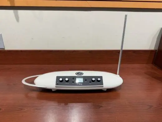 Moog - EW-THEREMINI-01